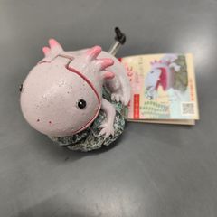 ぱくぱくでこ　ウーパールーパー