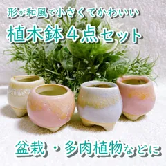 2024年最新】草物盆栽用の人気アイテム - メルカリ