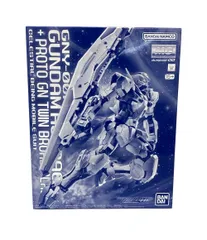 美品 バンダイ 機動戦士ガンダム プラモデル ガンプラ 機動戦士ガンダム00P MG ガンダムアストレア＋プロトＧＮツインブロードブレイド 1/100