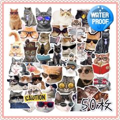 メガネ猫さんいっぱい♡  おもしろ大きめステッカーセット　 にゃんこ　ヌコ　ネコ　50枚セット