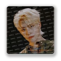 [중고] 배지 핀스 디노 [SVT 아크릴 배지 From PLEDIS ENTERTAINMENT SEVENTEEN]