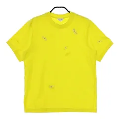 ミナペルホネン 半袖カットソー 2025年最新】mina perhonen レディース 半袖(Tシャツ) Tシャツ