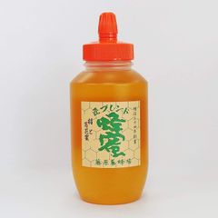 蜂蜜 専門店 藤原養蜂場 はちみつ 匠ブレンド蜂蜜 栃と百花蜜 ポリ容器 1ｋｇ