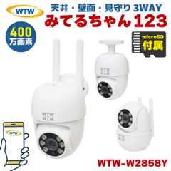 防犯・セーフティ 防犯防雨SIMカメラ 500万画素 microSD録 KC-12616
