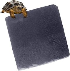 Item thumbnail for item be1cc5b2-7576-47b5-bc36-f18da3995e58