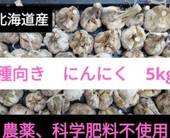 乾燥にんにく 5kg 種に最適【農薬・化学肥料不使用】北海道産 国産