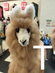 ＮＥＷ！ アルパカ人形　Ｔのサムネイル