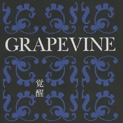 2024年最新】grapevine グッズの人気アイテム - メルカリ