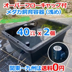 メダカ飼育ケース 40㍑x4個 トロ舟型オーバーフロー対策済 ビオトープ 金魚 メダカ飼育ケース 40㍑x1個 トロ舟 オーバーフロー付 金魚飼育