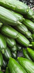 ハウス栽培 産地直送の野菜 前田農園  キューリ きゅうり 朝採り！10本！星型入！