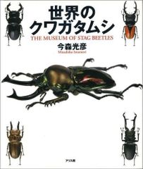 月刊むし1986年7月号『オオクワガタ特集号』藤田宏 オリジナル - メルカリ