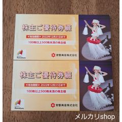 アインホールディングス 優待券 4000円分 アインズ 株主優待 - ymy優待