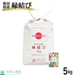 米 お米 米5kg 縁結び 精米 白米 秋田県産 令和5年産 農家直送 古代米お試し袋付き