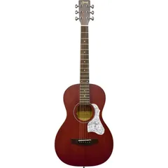 FISHMAN ellipse ピックアップ付き　アコギ　エレアコ FISHMAN ellipse ピックアップ アコギ付き→エレアコ