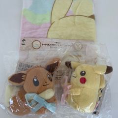 포켓몬스터 포켓몬 이치 반 쿠지 I LOVE PIKACHU& I LOVE EIEVUI in my room E상 봉제인형 술 전2종 컴플리트 피카츄 이브이 ●덤 G상 페이스타올