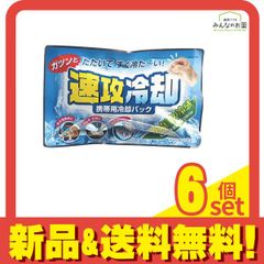 紀陽除虫菊 速攻冷却 携帯用冷却パック 1個入 (K-2001) 6個セット まとめ売り
