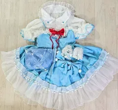 2025年最新】チルノ コスプレの人気アイテム - メルカリ