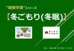 【計30作品】制作・巧緻性10課題_完全習得キット 計30作品【制作・巧緻性10課題】完全習得キット - メルカリ