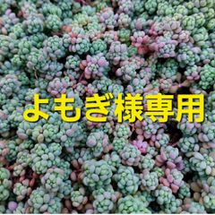よもぎ様専用