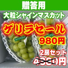 ゲリラセール！贈答用2房セット（大粒シャインマスカット）通常の宅急便です。