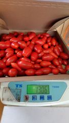 ニトマト「純あま」3kg 常温便 北海道産　採れ次第順次発送 ニトマト「純あま」3kg 常温便 北海道産 採れ次第順次発送 - メルカリ