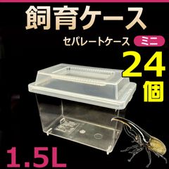 飼育ケース　セパレートケース　ミニ　1.5L　新品　24個　カブトムシ・クワガタ 成虫飼育に最適　コバエ抑制