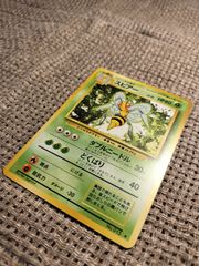 NO008_【美品】スピアー_ポケモンカード_旧裏