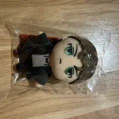 進撃の巨人 エレン・イェーガー(エレン) FINAL ファイナル 劇場版 人形 ぬいぐるみ ぬい ぬい マスコット グッズ