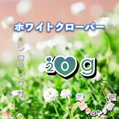 2026年最新】白つめくさの人気アイテム - メルカリ