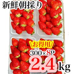 お徳用‼️🍓1.2kg 家庭用4P 🍓【愛媛県産 農家直送】おやつに小粒