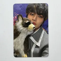 StrayKids スキズ Magic School STAYZONE ステイゾーン 韓国 ペンミ トレカ アイエン