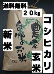 玄米　20kg コシヒカリ　新米　栃木県産　令和4年産　送料無料　米　20キロ
