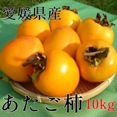【愛媛県産】あたご柿(渋柿)　干し柿用　大　10ｋ（送料無料）