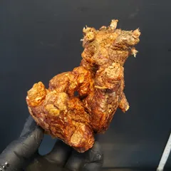 2025年最新】ピグマエア 現地球の人気アイテム - メルカリ