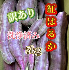 茨城県産 さつまいも 紅はるか 訳あり 5kg