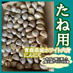 青森県産福地ホワイト六片にんにく種植え付け用100株用農家直送