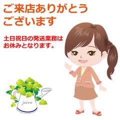 shop-thumbnail