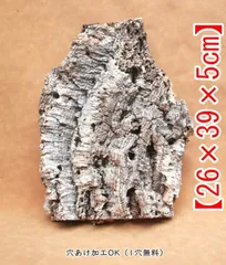 D393  ポルトガル産 厚め コルク樹皮 コルク板　バージンコルク 送料無料　チランジア　ビカクシダ　着生ラン　両生類　爬虫類のサムネイル