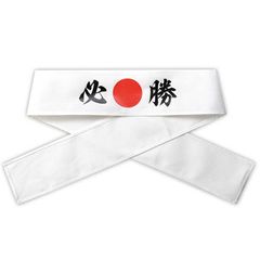 Item thumbnail for item 50deeebc-81a6-43c2-a3ce-5308373d1c8b