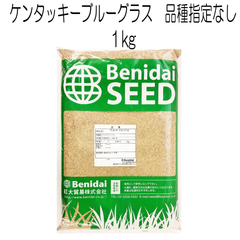 ケンタッキーブルーグラス種子　1kg【種】紅大貿易　芝の種　芝生の種　寒地型　西洋芝
