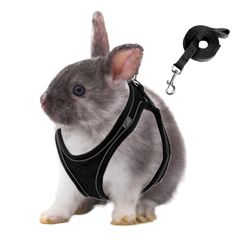 新着商品 TiDaOne うさぎ ハーネス うさぎ リード ネザーランド ミニウサギ ホーランドロップ 離脱防止 (ブラック XXS)