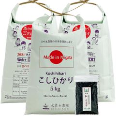 お米 米 精米 白米 こしひかり 15kg （5kg×3袋） 新潟県産 令和4年産 古代米お試し袋付き