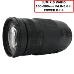 2025年最新】LUMIX G VARIO 100-300の人気アイテム - メルカリ 2025年最新】LUMIX G VARIO 100-300の人気アイテム - メルカリ