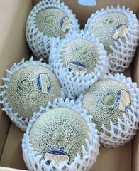 アンデスメロン　甘くて美味しい秀品　メロン　青肉メロン
