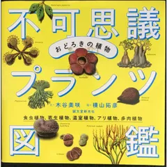 あびんこ　食虫植物　2点　送料無料　メルカリ便 食虫植物 - Search / X