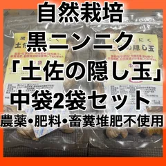 自然栽培　黒にんにく「土佐の隠し玉」中袋２袋セット　農薬・肥料・畜糞堆肥不使用　吉井農園（春の雨）のサムネイル