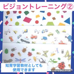 ビジョントレーニング② 3枚セット
