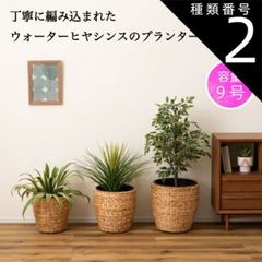 種類2：サイズ/Mサイズ プランター 植木鉢 7号用 9号用 単品 おしゃれ ナチュラル グリーンポット ウォーターヒヤシンス インテリア 鉢のまま 入れるだけ 観葉植物 S M L サイズ 新生活 引越し 一人暮らし アウトドア  オフィス 学校 病院 公共