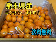 熊本県産　キンカン　箱込み1kg