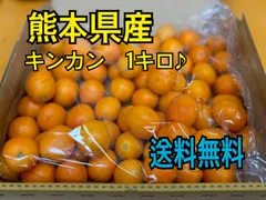 2025年最新】キンカンの人気アイテム - メルカリ